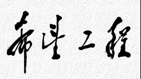 你只看到“团省委副书记”，却不了解这项“工程”有多伟大